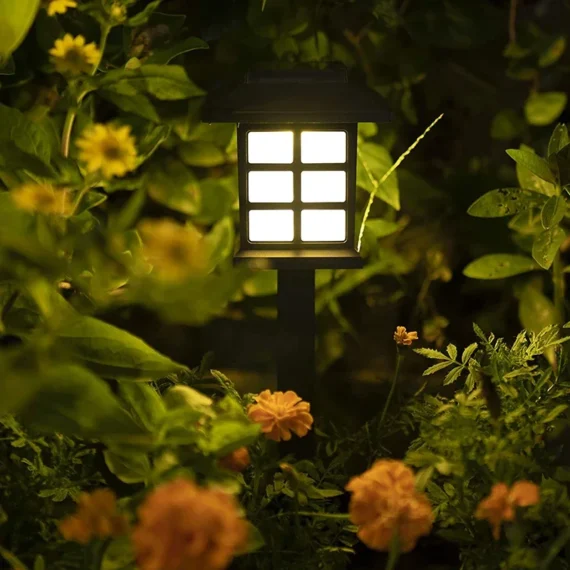 Solar-Powered Garden Lights